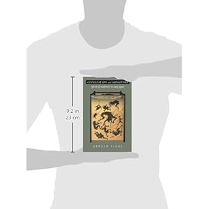 Civilization and Monsters: Spirits of Modernity in Meiji Japan (Asia-Pacific: Culture, Politics, and Society)