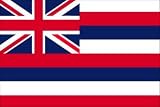 10 x 15 Feet Hawaii Nylon - indoor State Flags Made in US.