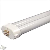 65 Watt Square Pin PC Lamp Dual Daylight 460/10K