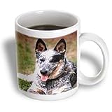 Dogs Australian Cattle - Australian Cattle Dog - Mugs