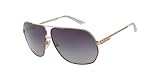 Diesel DS 0138 Sunglasses