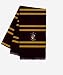 Young Adult/Adult Gryffindor House Costume Scarf