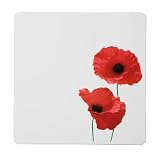 Premier Housewares - Set de table - Liège - Coquelicots - 28 x 28 cm - Lot de 4 (Import Grande Bretagne)