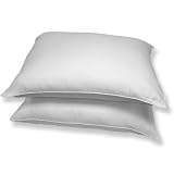 2 Luxury Queen White Goose Down Bed Pillows 20 X 30 50oz.