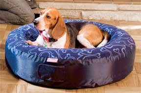 COLEMAN COMFORTSMART ROUND AIR NEST DOG BED BLUE MEDIUM