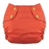 Blueberry Stuffable AIO (All-in-one) Front Snap Cloth Diaper