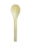 Jaya Biodegradable Spoon, 1000-Count Case