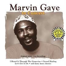 Marvin Gaye - In Concert by Marvin Gaye