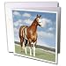 Horse - Champion Paint Quarter Horse - Greeting Cards-12 Greeting Cards with envelope...