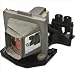 Optoma BL-FP200F - Projector lamp - P-VIP - 200 Watt