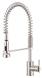 Danze D455158SS Parma Single Handle Pre-Rinse Faucet, Stainless Steel