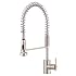 Danze Parma Single Handle Pre-Rinse Faucet