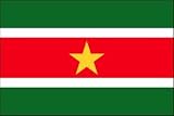 3 x 5 Feet Suriname Poly - indoor International Flag Made in US.