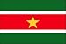 3 x 5 Feet Suriname Poly - indoor International Flag Made in US.