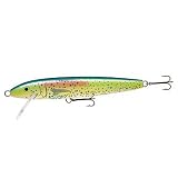 Rapala(ラパラ) Rapara Giant Lure GIANT LURE D GIANTLURED