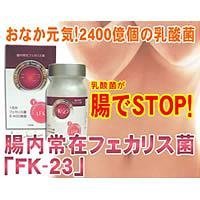 腸内常在フェカリス菌　ＦＫ－２３