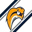 NHL Buffalo Sabres - Boys Hockey Decor Wallpaper Border Roll