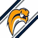 Buffalo Sabres 5.5 Inch (Height) Wallpaper Border
