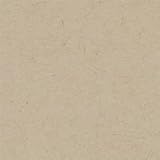 Environment Desert Storm Cover 8-1/2x11 100lb 250/pk