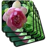Lotus Pink Lotus Blossom - Set Of 4 Coasters - Soft