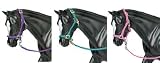 Nylon Halters Hot Colored 3-piece Assortment