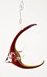 Ornament: Angelfish