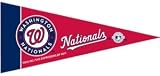 Washington Nationals MLB Mini Pennants - 8 Piece Set