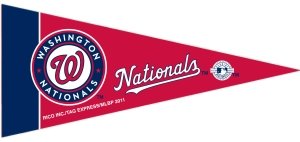 Washington Nationals MLB Mini Pennants - 8 Piece Set
