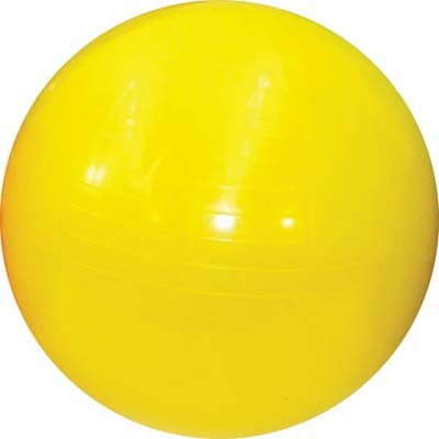 Buy Fit Pro Balls (29" Diameter) online at Discounted New and Used prices. Delivered to your door with Off-The-Bookshelf.