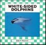 White-Sided Dolphins