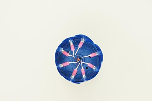 Crazy Holiday Spin,Singing,2 Layers,Lotus Flower Birthday Candle for Cake(1, Blue)