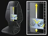 newgen medicals Fernbedienbare Shiatsu-Massageauflage 12/230V