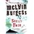 Sara's Face (Puffin Teenage Books)