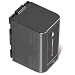 Panasonic CGP-D28 6 Hour Lithium Ion Battery for Panasonic Camcorders