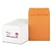 Self-Stick Heavyweight Kraft Catalog Envelopes, 28-lb., 9 x 12, 250/Box