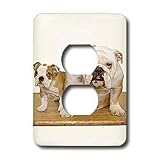Dogs Bulldog - British Bulldog - Light Switch Covers - 2 plug outlet cover