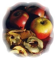 Dried apples 4 oz bag, Apple slices are dried without any sulphur dioxide. The dried... by Dadsjerky.com