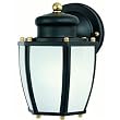 Westinghouse Lighting 64516 ENERGY STAR Outdoor Fixture