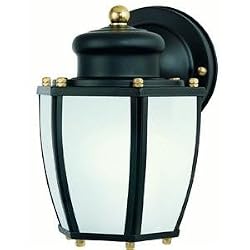 Westinghouse Lighting 64516 ENERGY STAR Outdoor Fixture