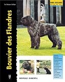 Bouvier des Flandres (Excellence - Razas De Hoy)