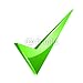 Wallmonkeys Peel and Stick Wall Decals - Vector Green Checkmark - 18
