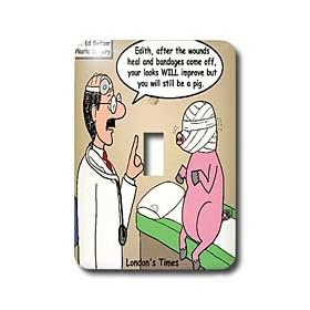 Rich Diesslins Funny Animals Cartoons - A Pig Is Still A Pig After Cosmetic Surgery - Light Switch Covers - single toggle switch