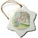 Londons Times Funny Medicine Cartoons - Erectile Dysfunction and the Pharmacist - Ornaments