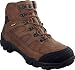Wolverine Mens 7 inch Ridgeline-Lo GTX I Brown Boots