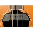 EMG ACS Active Magnetic Soundhole Pickup