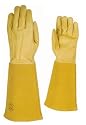 Rose Tender Garden Party Gloves - Extra Long