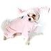 Fluffy Bunny Pup
