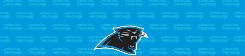 Carolina Panthers Team Auto Visor Decal