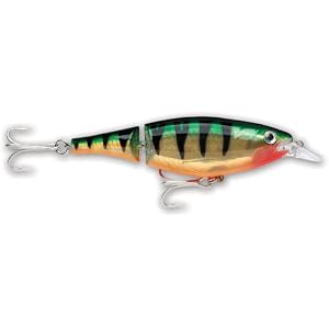 X-Rap Jointed Shad Perch by