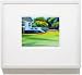 Fine Art Gicleacutee Vineyard Print 